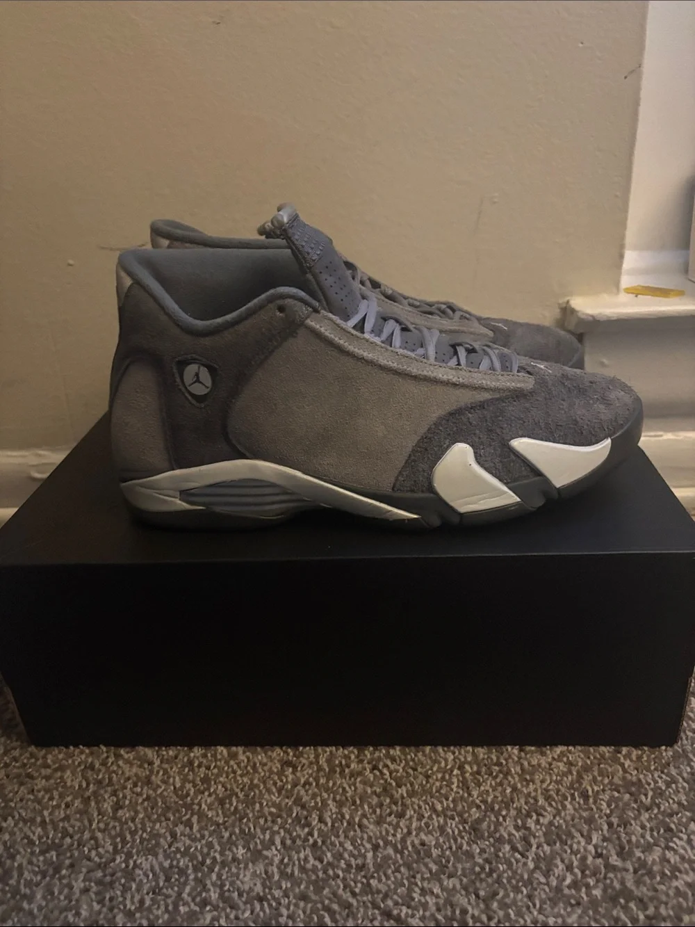 Jordan 14s cool gray color way